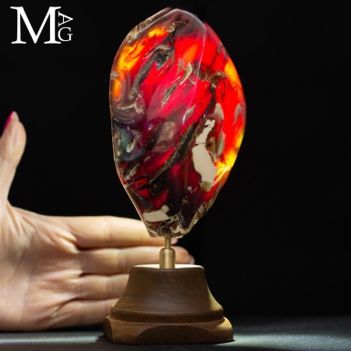 Ambra Blue - Un Documento Paleontologico