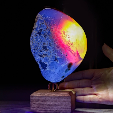 Ambra di Sumatra - il Tempo in un frammento.