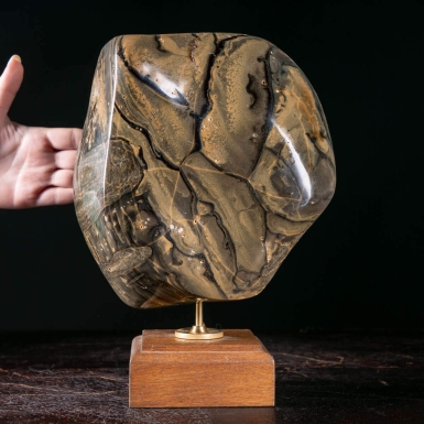 Ambra di Sumatra – Un grande corpo fossile tra r...