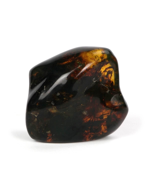 Chiapas Amber