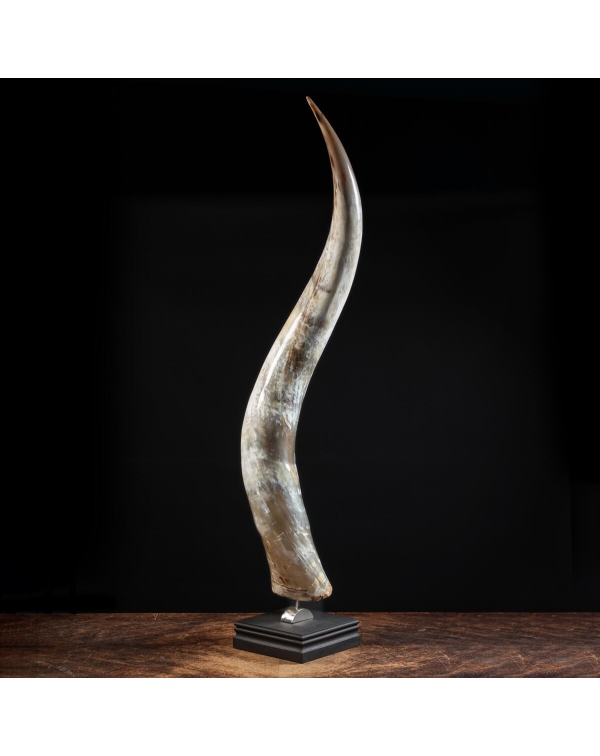 Buffalo Horn on Custom Pedestal