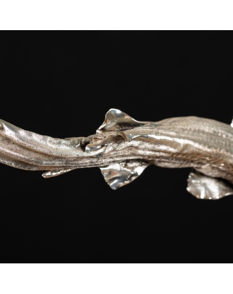 Pair Silver Plated of Catsharks