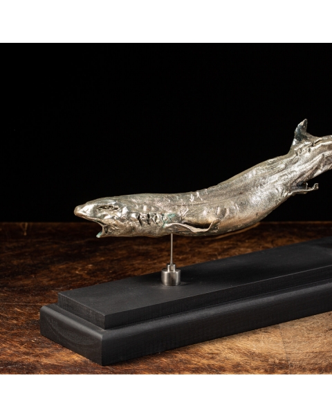 Silver Plated Catsharks