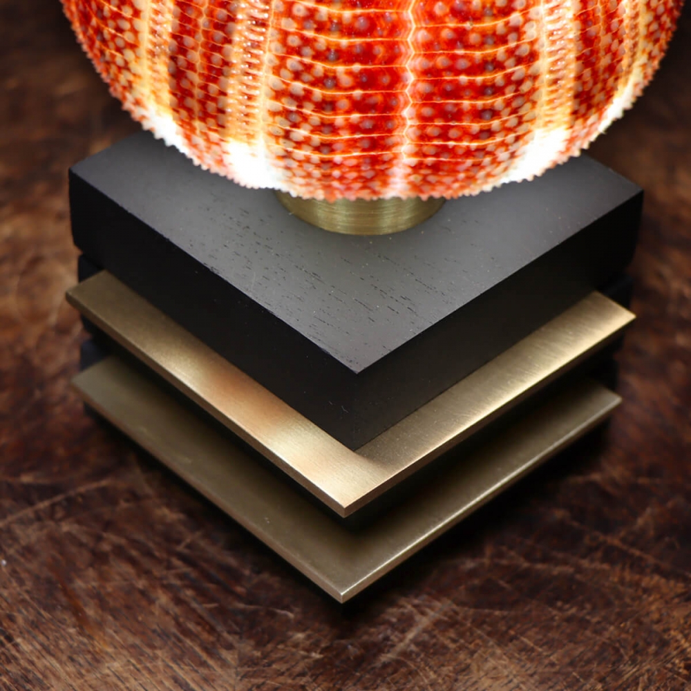 Lampade - Ricci di Mare su base di design