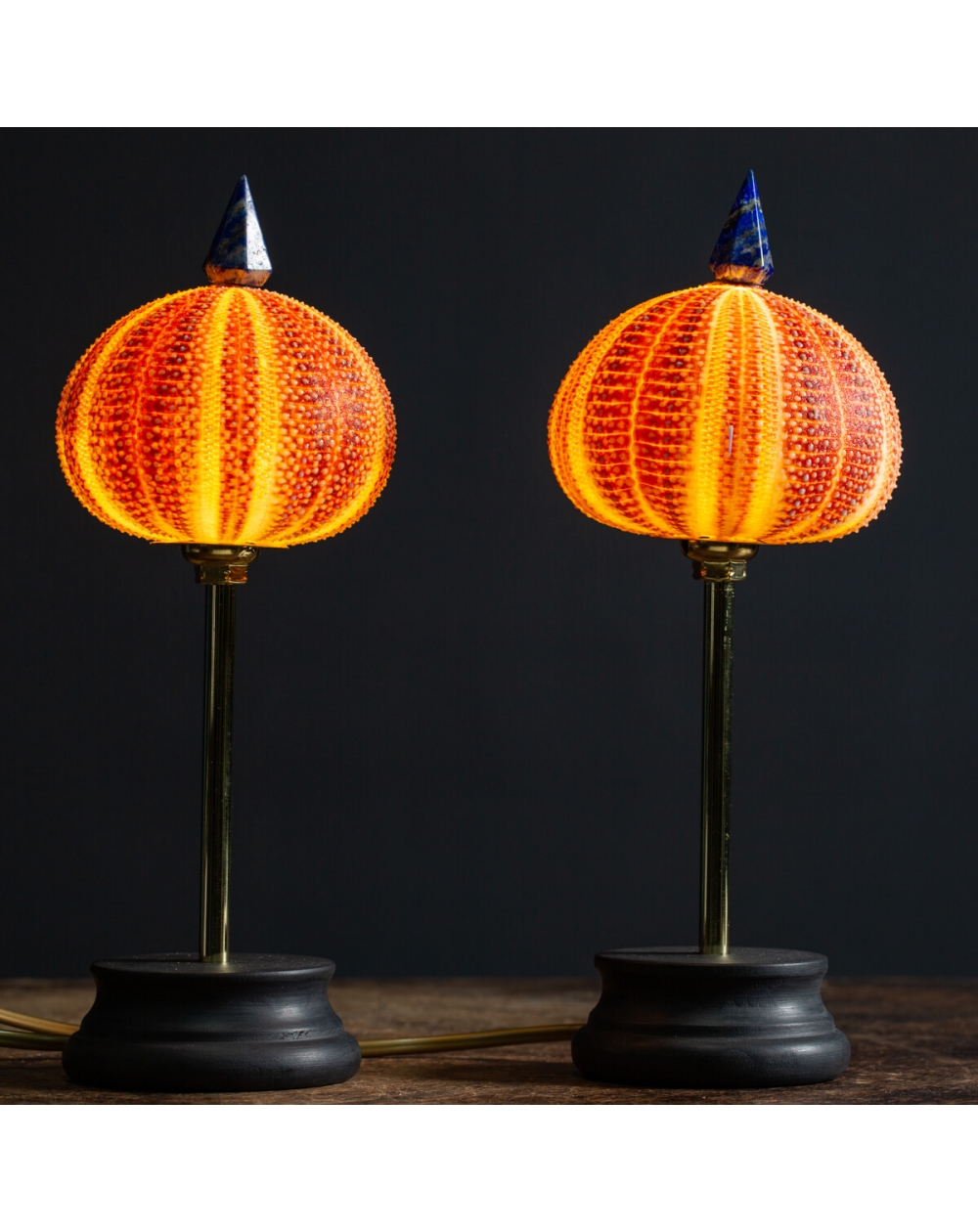 Pair Sea urchin Lamp