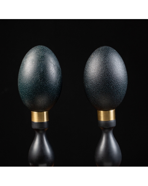 Emu eggs on a wooden and brass base