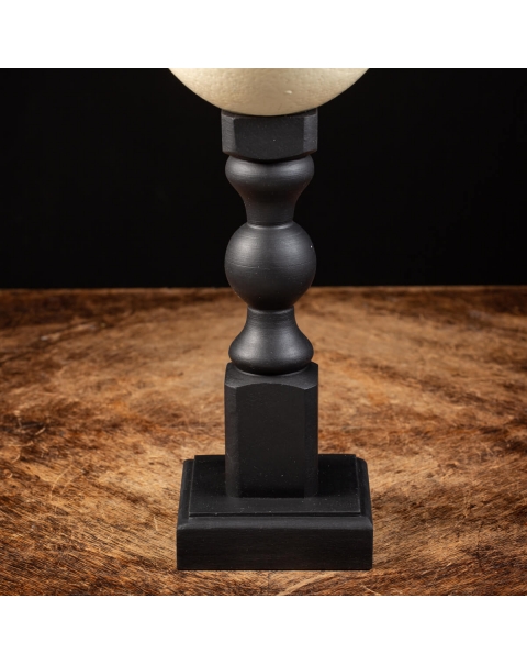 Ostrich Egg on pedestal