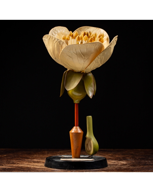 Antique Anatomical Plant Model - Prunus Avium