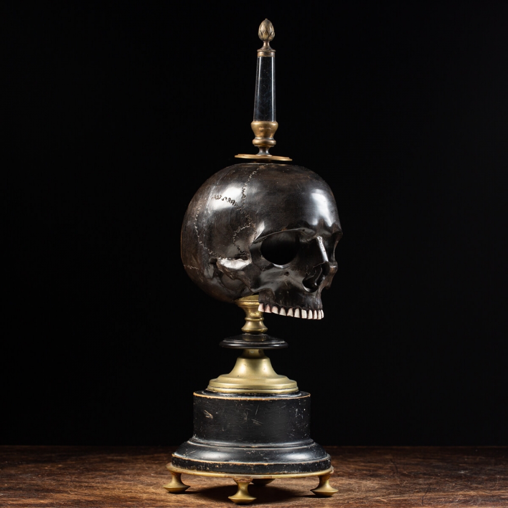 Teschio Xenomorfo Maschio Scolpito A Mano In Cristallo Occhio Di Tigre