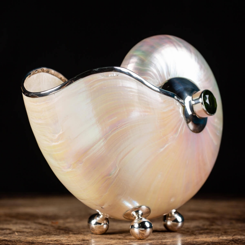 Nautilus in mother of pearl with silver processing...