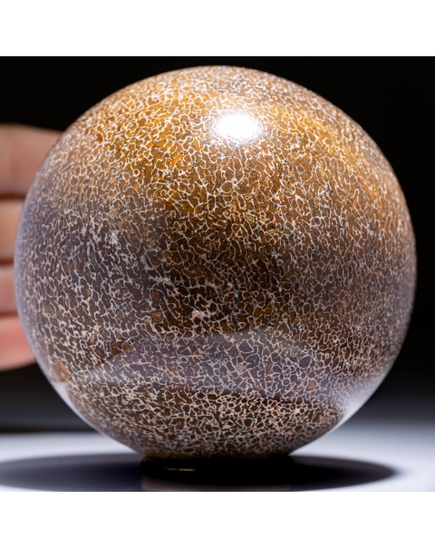 Sphere made from Atlasaurus Bone
