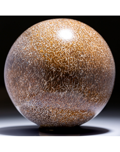 Sphere made from Atlasaurus Bone
