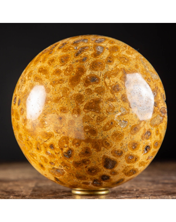 Fossil Coral Sphere