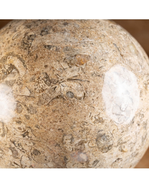 Fossil Jasper Sphere