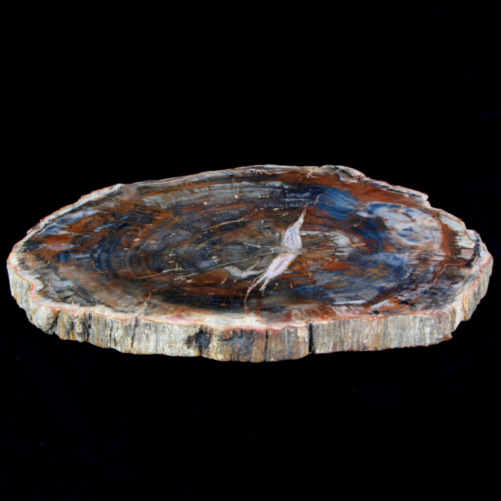 BRACCIALE TAMASHII LEGNO FOSSILE - Gioielleria lo Scrigno
