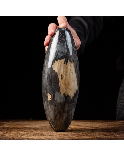 Fossil Wood Oval