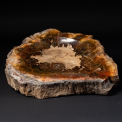 Storage Objects in Petrified Wood (8)
