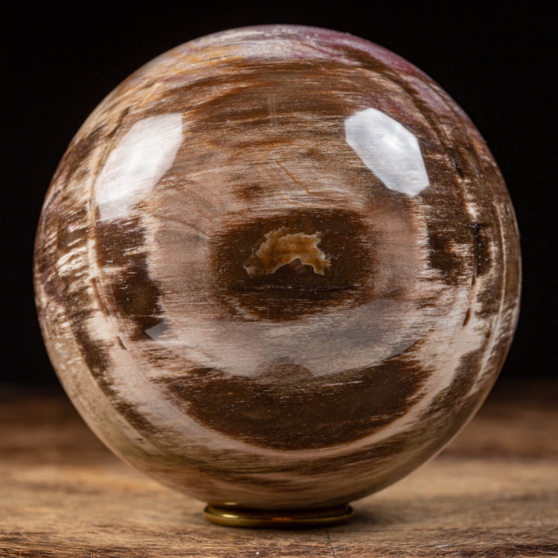 Fossil Wood Sphere