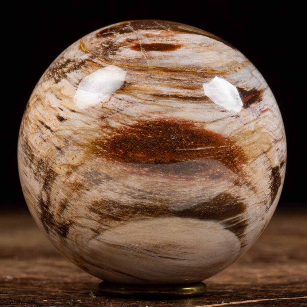 Legno fossile proprietà pietra - la pietra della tenacia