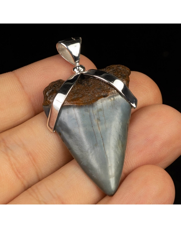 Silver Pendant with Fossil Shark Tooth