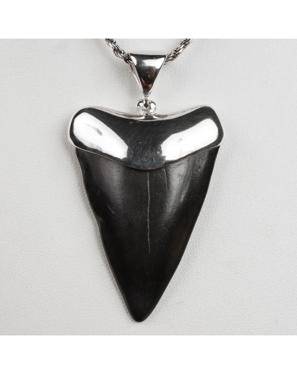 Silver Pendant with Fossil Shark Tooth