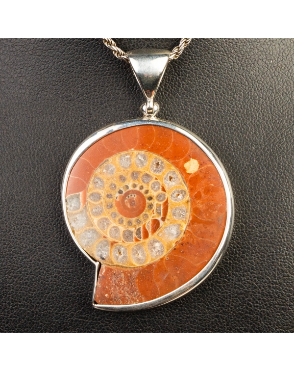 Silver Pendant with Fossil Ammonite