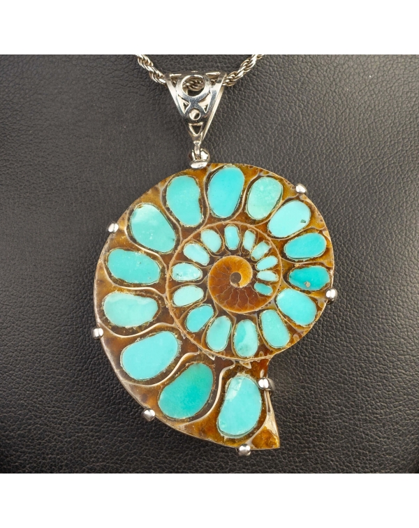 Ammonite Fossil with Turquoise Inlay