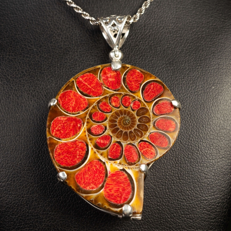 Ammonite Fossil with Coral Inlay