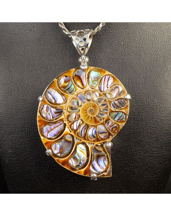 Ammonite Fossil with Abalone Inlay