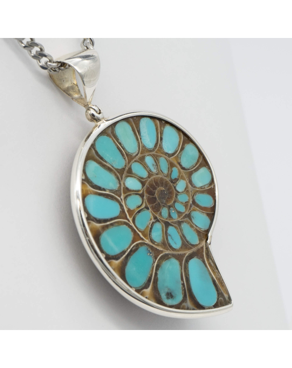 Ammonite Fossil with Turquoise Inlay