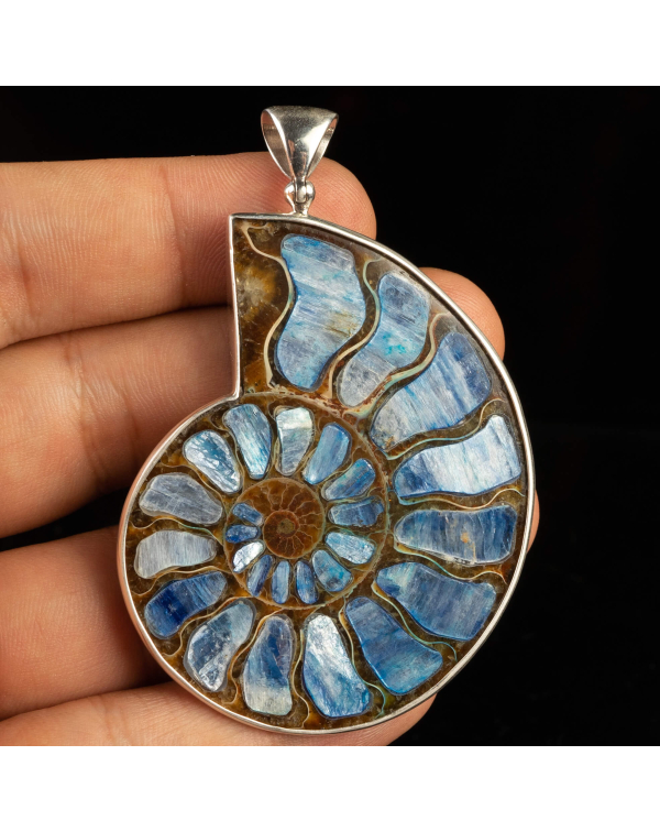 Ammonite Fossil with Kyanite Inlay