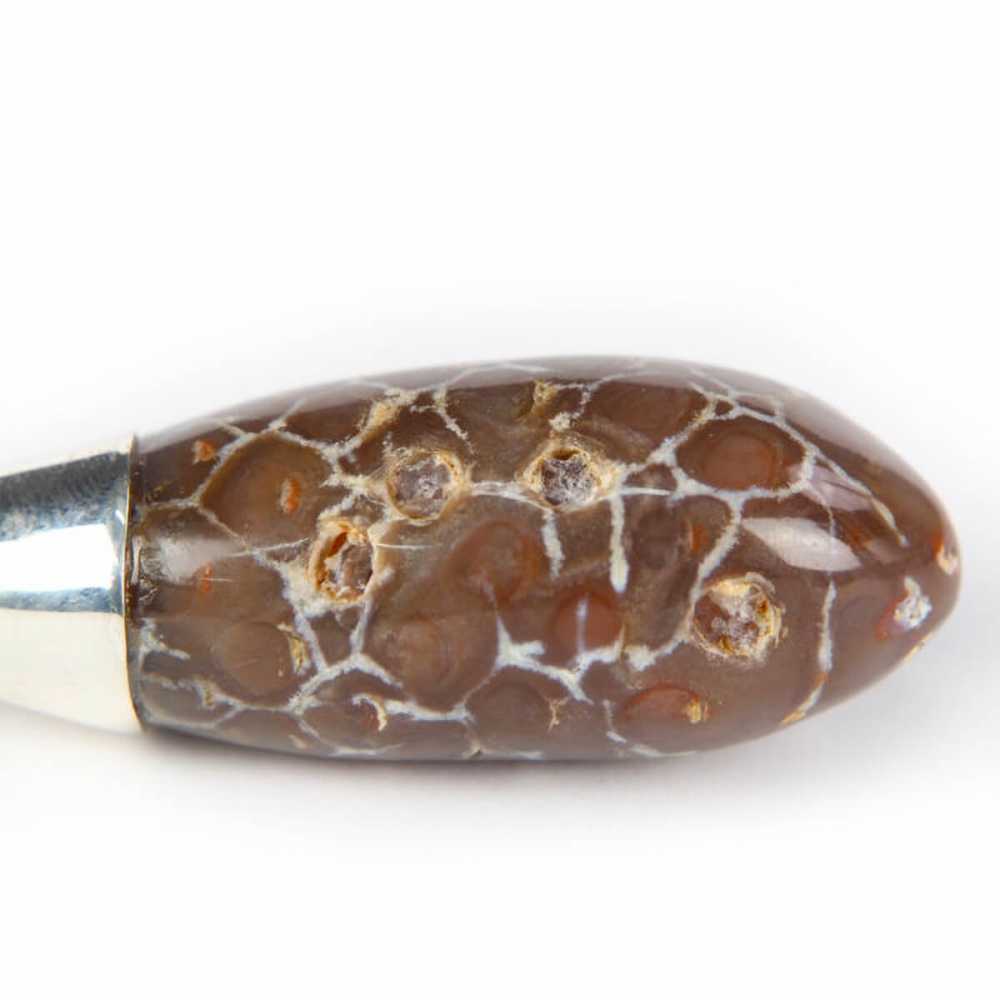 Collana Con Ciondolo In Peltro A Forma Di Ammonite Fossile - Made In UK, Tema Geologia