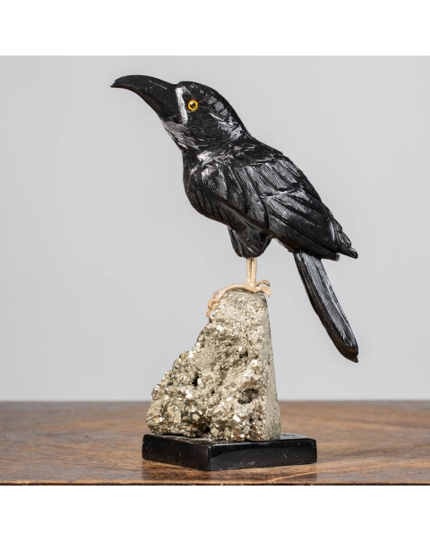 Crow on Pyrite