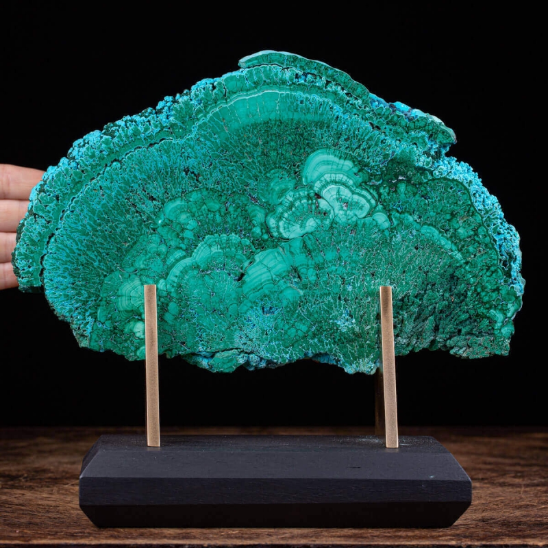 First Choice Chrysocolla in Malachite Mounted on B...