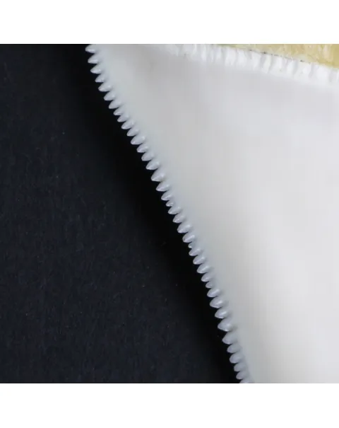 Dente di Squalo Bianco