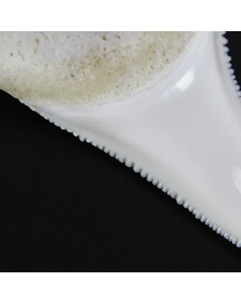 Dente di Squalo Bianco 