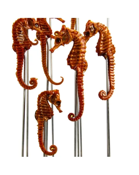 Cavallucci Marini per Wunderkammer