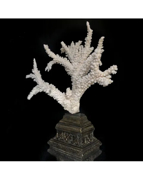 Corallo Bianco Decorativo