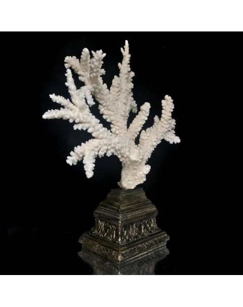 Corallo Bianco Decorativo