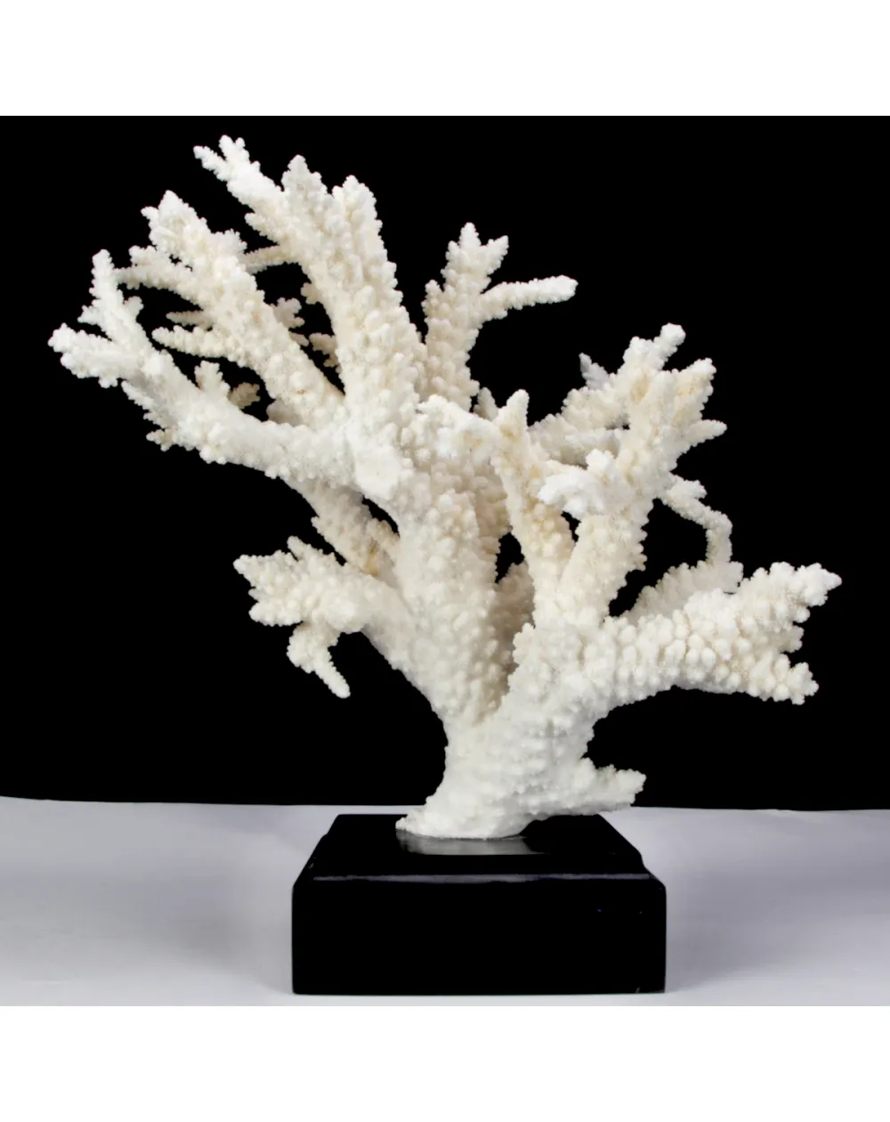 Corallo Bianco Decorativo
