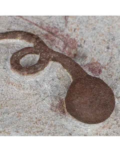 Lobolite