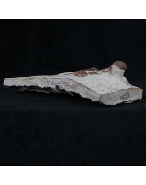 Lobolite