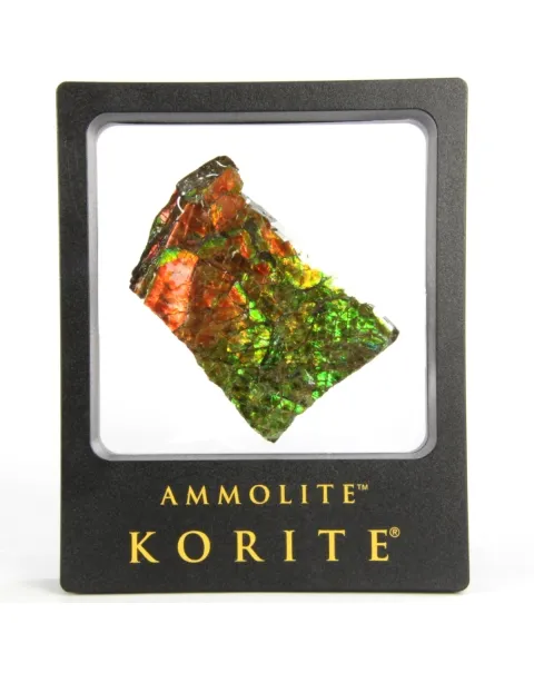 Ammolite