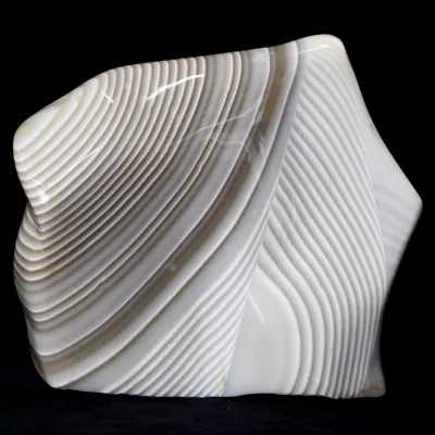 Agata Zebra