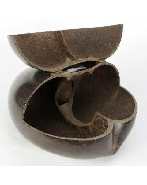 Coco de Mer