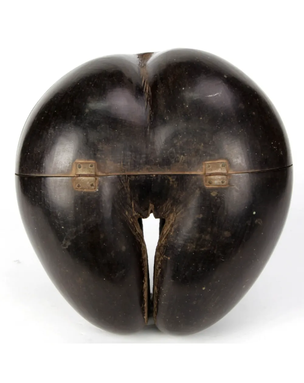 Coco de Mer
