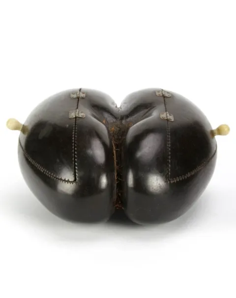Coco de Mer