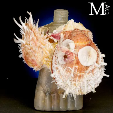Reperto dell’Antropocene – Plastica e Vita Mar...