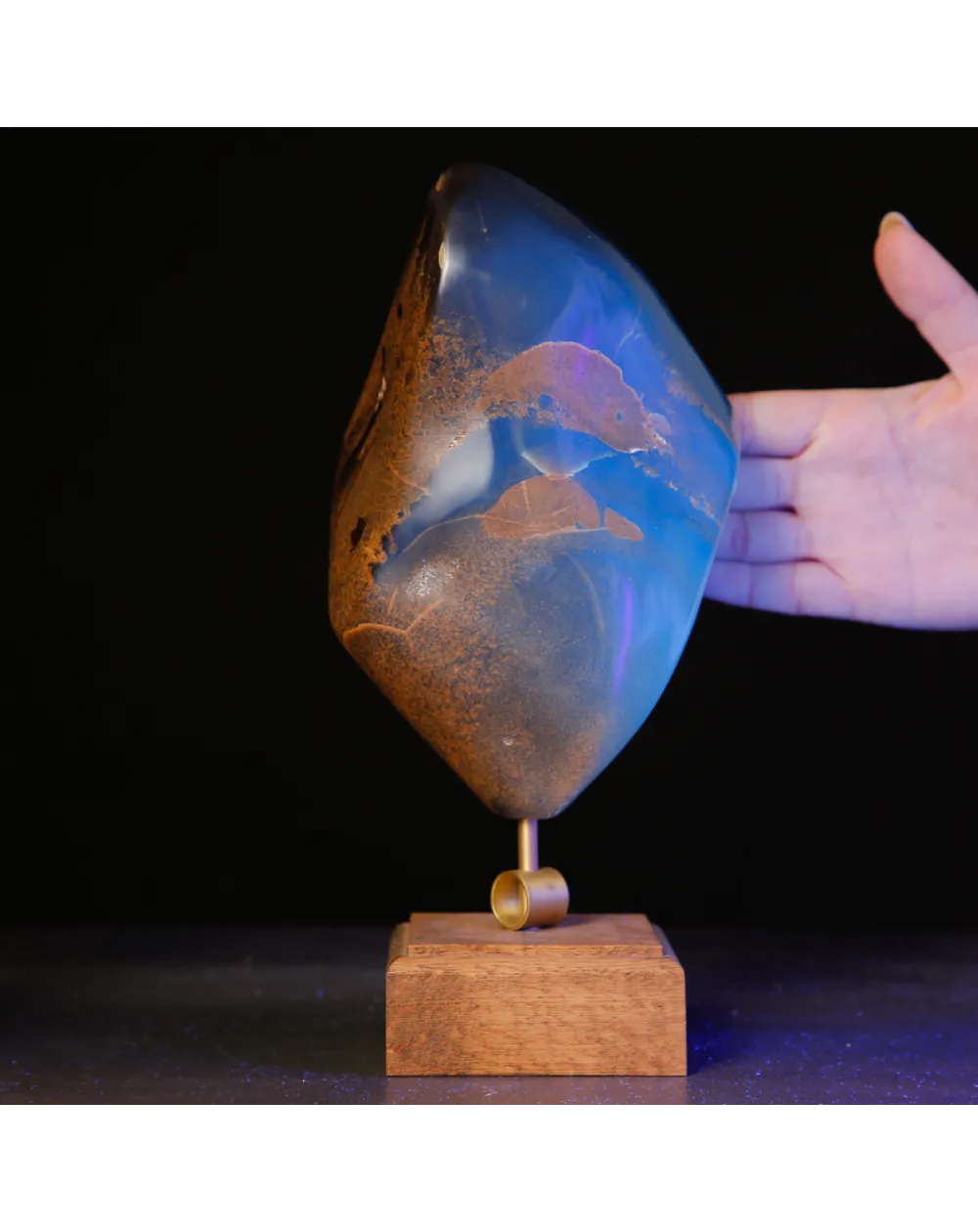Ambra Blue – La luce fossile del Miocene