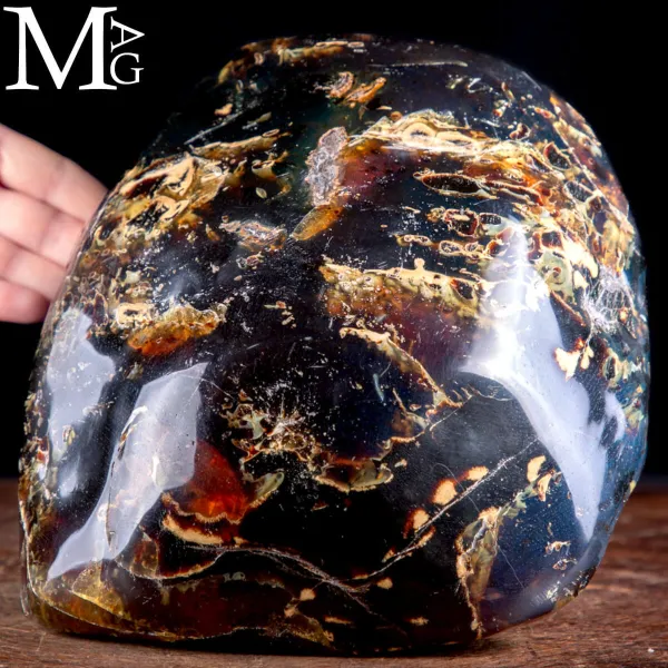 Grande Campione Ambra Fossile di Sumatra.